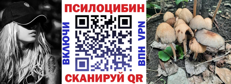 shop как зайти  Енисейск  Псилоцибиновые грибы GOLDEN TEACHER  где найти  