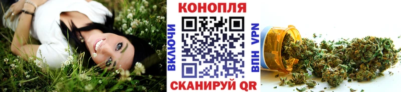 дарнет шоп Енисейск MEGA ссылка Шишки марихуана конопля